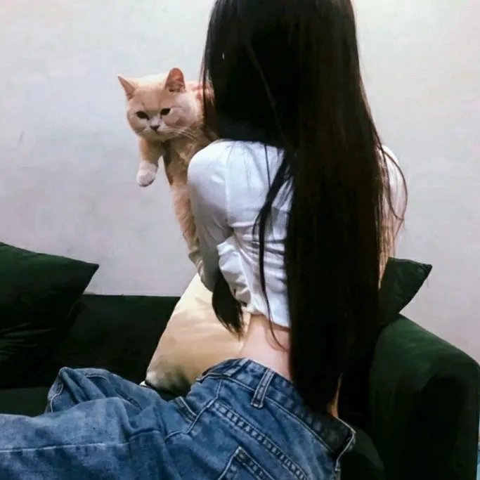 金钱男孩